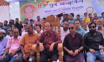 ফ্যাসিস্ট সরকারের প্রেতাত্মারা সর্বত্র বিচরণ করছে