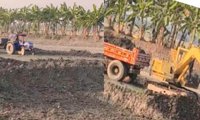 বালিয়াকান্দিতে ফসলি জমি কেটে মাটি বাণিজ্যের অভিযোগ