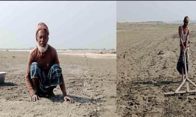 ব্রহ্মপুত্রের বিস্তীর্ণ বালুচরে স্বপ্ন বুনছেন কৃষক