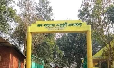 চুনারুঘাটে সংরক্ষিত বনে গোলাগুলি: ১০ জনের নামসহ ৫০ জনের বিরুদ্ধে অস্ত্র মামলা