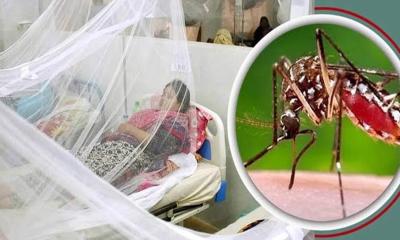 চট্টগ্রামে ডিসেম্বরের শুরুতেও ডেঙ্গুর প্রকোপ: ঝুঁকিপূর্ণ ২৫ এলাকা চিহ্নিত