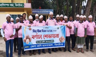 ঝিনাইদহে ডিম দিবস পালিত