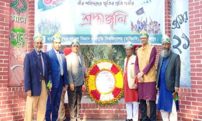 হাবিপ্রবিতে বর্ণিল আয়োজনে মহান বিজয় দিবস উদযাপিত