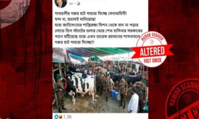 ‘গরুর হাট পাহারা দিচ্ছে সেনাবাহিনী’ দাবিতে প্রচারিত ছবিটি এআই নির্মিত