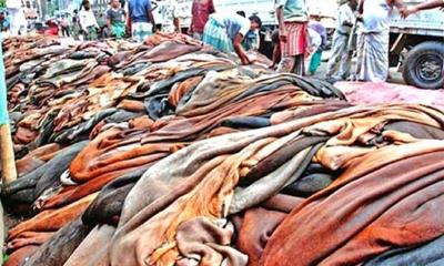 ঈদুল আজহায় গরু ও খাসির চামড়ার নতুন দাম নির্ধারণ