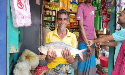দুমকির পায়রা নদীতে ধরা পড়ল ২ কেজির ইলিশ