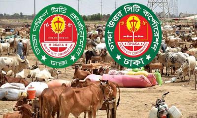 ঢাকার দুই সিটিতে পশুর হাটের চূড়ান্ত প্রস্তুতি
