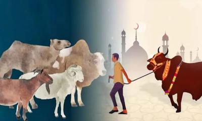 টাকা ধার বা ঋণ করে কি কোরবানি দেওয়া যাবে?
