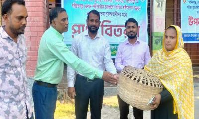 কালুখালীর চরাঞ্চলে বিনামূল্যে মুরগী ও খাবার বিতরণ