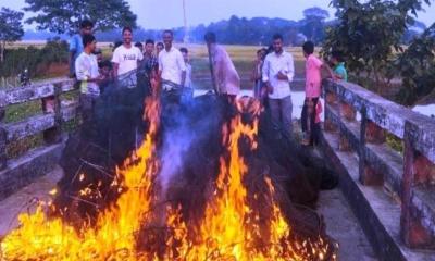 কেন্দুয়ায় প্রশাসনের অভিযানে অবৈধ চায়না দুয়ারি জাল ধ্বংস, জরিমানা