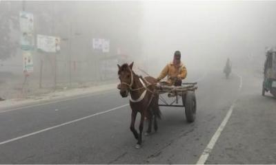 কুড়িগ্রামে ঘন কুয়াশা ও ঠাণ্ডায় জনজীবন বিপর্যস্ত