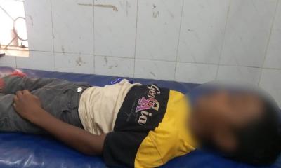 কলমাকান্দায় বিষাক্ত সাপের কামড়ে শিশুর মৃত্যু