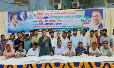 দল যাকে মনোনয়ন দেবে, তার পক্ষেই কাজ করব: এস এম মামুন মিয়া