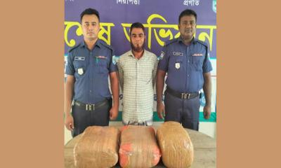কালীগঞ্জে মাটির নিচ থেকে ১৫ কেজি গাঁজা উদ্ধার, আটক ১