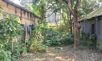 থানার পাশেই ২৫ বছর ধরে পরিত্যক্ত ৪ কোটি টাকার ফোরকানিয়া মাদ্রাসা