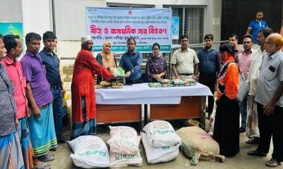 ঘিওরে কৃষি প্রণোদনার সার ও বীজ বিতরণ