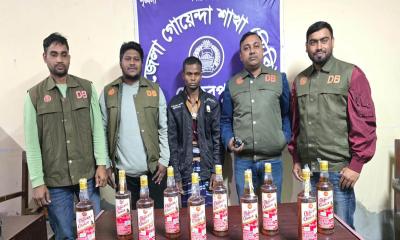 মেহেরপুর ডিবির অভিযানে ১০ বোতল ভারতীয় মদসহ আটক ১