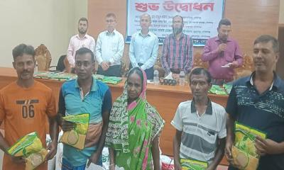 মুকসুদপুরে কৃষকদের মাঝে বিনামূল্যে বীজ ও সার বিতরণ