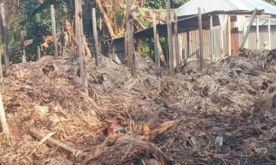 নাগরপুরে ভাদ্রা বাজারে পাটের গোডাউনে অগ্নিকাণ্ড