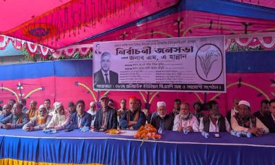 নাসিরনগরে বিএনপির নির্বাচনী জনসভায় সাবেক প্রধানমন্ত্রীর উপ-প্রেস সচিব