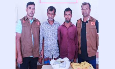 নেত্রকোণায় ডিবি পুলিশের অভিযানে গাঁজাসহ আটক ২
