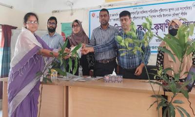 নরসিংদীর পলাশে কৃষি সমৃদ্ধি বাড়াতে দুই দিনব্যাপী কৃষকদের প্রশিক্ষণ কর্মশালা