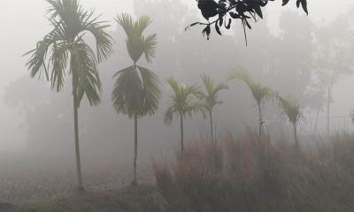 তেঁতুলিয়ায় মৃদু শৈত্যপ্রবাহ অব্যাহত