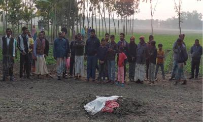 পঞ্চগড়ে ট্রাক্টরের হালের ফাঁলে পড়ে শিশুর মর্মান্তিক মৃত্যু