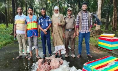 বলেশ্বর নদীর পাড় থেকে হরিণের দুই মাথাসহ ৪০ কেজি মাংস জব্দ