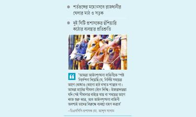 ইজারার আগেই দখল পশুর হাট