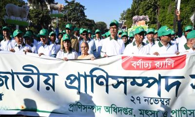 খাদ্যে স্বয়ংসম্পূর্ণতা অর্জনে কাজ করছে সরকার: প্রাণিসম্পদ উপদেষ্টা
