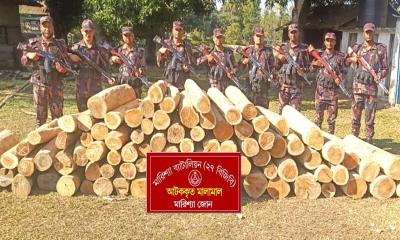 বাঘাইছড়িতে বিজিবির অভিযান, বিপুল পরিমাণ অবৈধ সেগুন কাঠ জব্দ