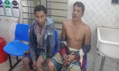গরু চুরি করতে গিয়ে জনতার হাতে আটক ইউপি সদস্যসহ দুই চোর