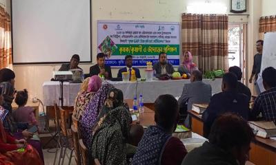 সাঘাটায় কৃষক জিএপি সার্টিফিকেশন প্রশিক্ষণ
