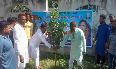 সালথায় যুবদলের ৪৭তম প্রতিষ্ঠাবার্ষিকী উপলক্ষে বিভিন্ন কর্মসূচি পালন