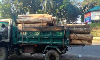 মাটিরাঙ্গা জোনের অভিযানে অবৈধ সেগুন কাঠ জব্দ