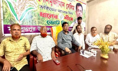 ধানের শীষের প্রার্থীদের বিজয়ী করতে নির্বাচনী প্রচারণায় ঝাঁপিয়ে পড়তে হবে: সেলিমুজ্জামান