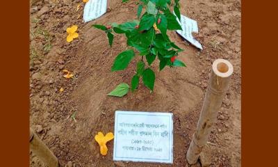 স্বপ্নের বাংলাদেশ রেখে চিরনিদ্রায় শরিফ ওসমান হাদি