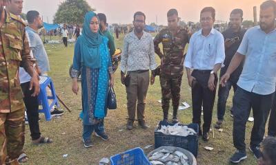 শিবচরে মা ইলিশ রক্ষার্থে যৌথ বাহিনীর বিশেষ অভিযান