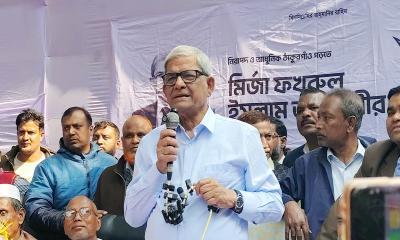স্বাধীনতাবিরোধীরা এখন ভোট চাচ্ছে: মির্জা ফখরুল