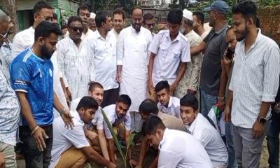 টাঙ্গাইলে সুলতান সালাউদ্দিন টুকুর বৃক্ষরোপণ