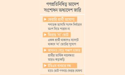 জোট করলেও দলীয় প্রতীকে ভোট
