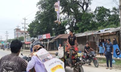 গাংনীতে বৈদ্যুতিক তারে ঝুলন্ত এনসিপির শীর্ষ নেতাদের কুশপুত্তলিকা