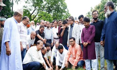 রাজশাহীতে পেশাজীবী দলের বৃক্ষরোপণ কর্মসূচির উদ্বোধন