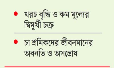 অস্তিত্ব সংকটে দেশের চা শিল্প
