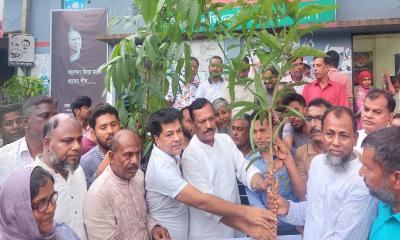 ঘিওরে প্রধানমন্ত্রীর বৃক্ষরোপণ কর্মসূচির যাত্রা শুরু, ৪৫০ জন পেলেন চারা
