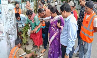 ডেঙ্গু প্রতিরোধে ঝালকাঠি পৌরসভার পরিচ্ছন্নতা অভিযান