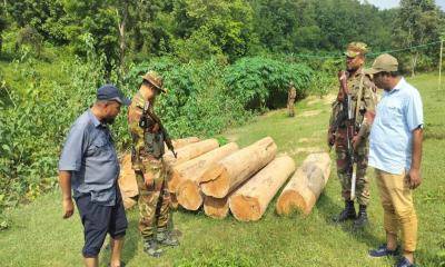 জুরাছড়িতে সেনাবাহিনীর অভিযানে ৯০ লাখ টাকার কাঠ জব্দ
