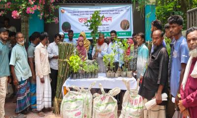 ভাঙ্গুড়ায় কৃষকদের মাঝে বিনামূল্যে বীজ ও চারা বিতরণ