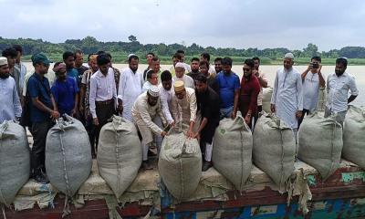 খোকসায় গড়াই নদীর তীররক্ষা বাঁধে ভাঙন, জিও ব্যাগ ফেলার কাজের উদ্বোধন
